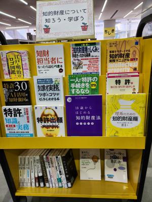 展示本の写真
