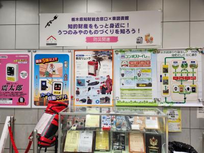 展示の写真