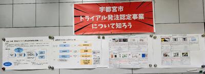 展示の様子