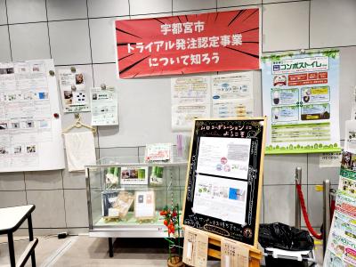 展示の様子