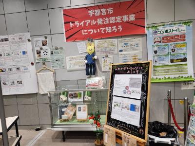 展示の様子