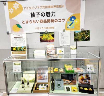 展示の様子