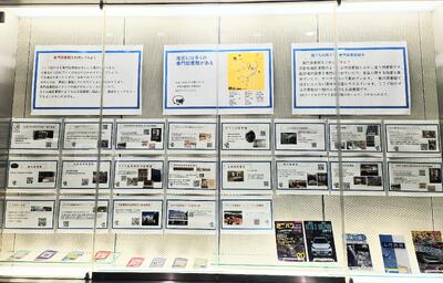 展示の様子