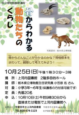 骨からわかる動物たちのくらしのポスター