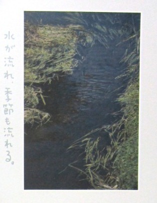 釧路湿原内の画像3